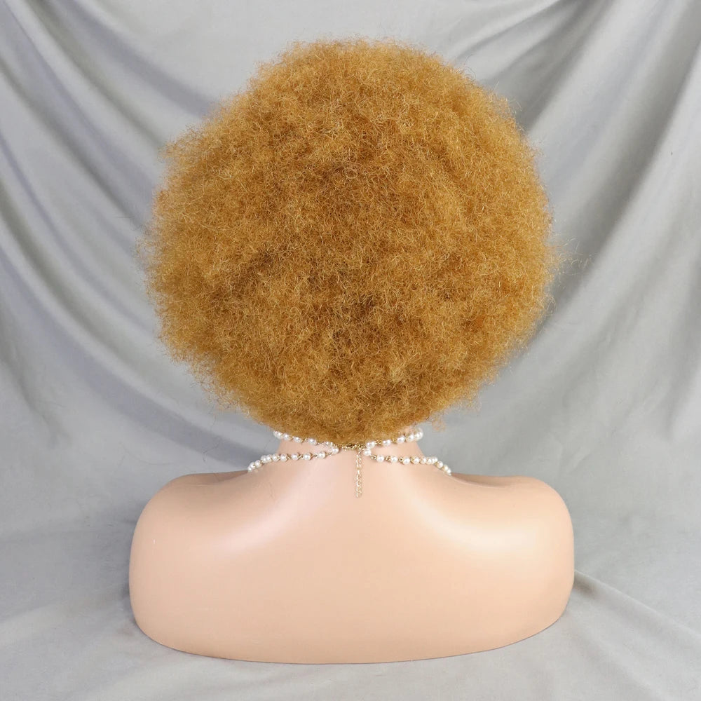 Afro Kinky Curly Lace Front Human Hair Afro Side Part Natural Hairline Glue less Short Wigs