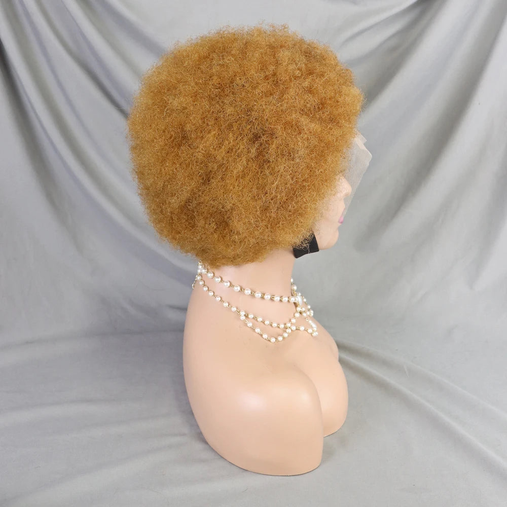 Afro Kinky Curly Lace Front Human Hair Afro Side Part Natural Hairline Glue less Short Wigs
