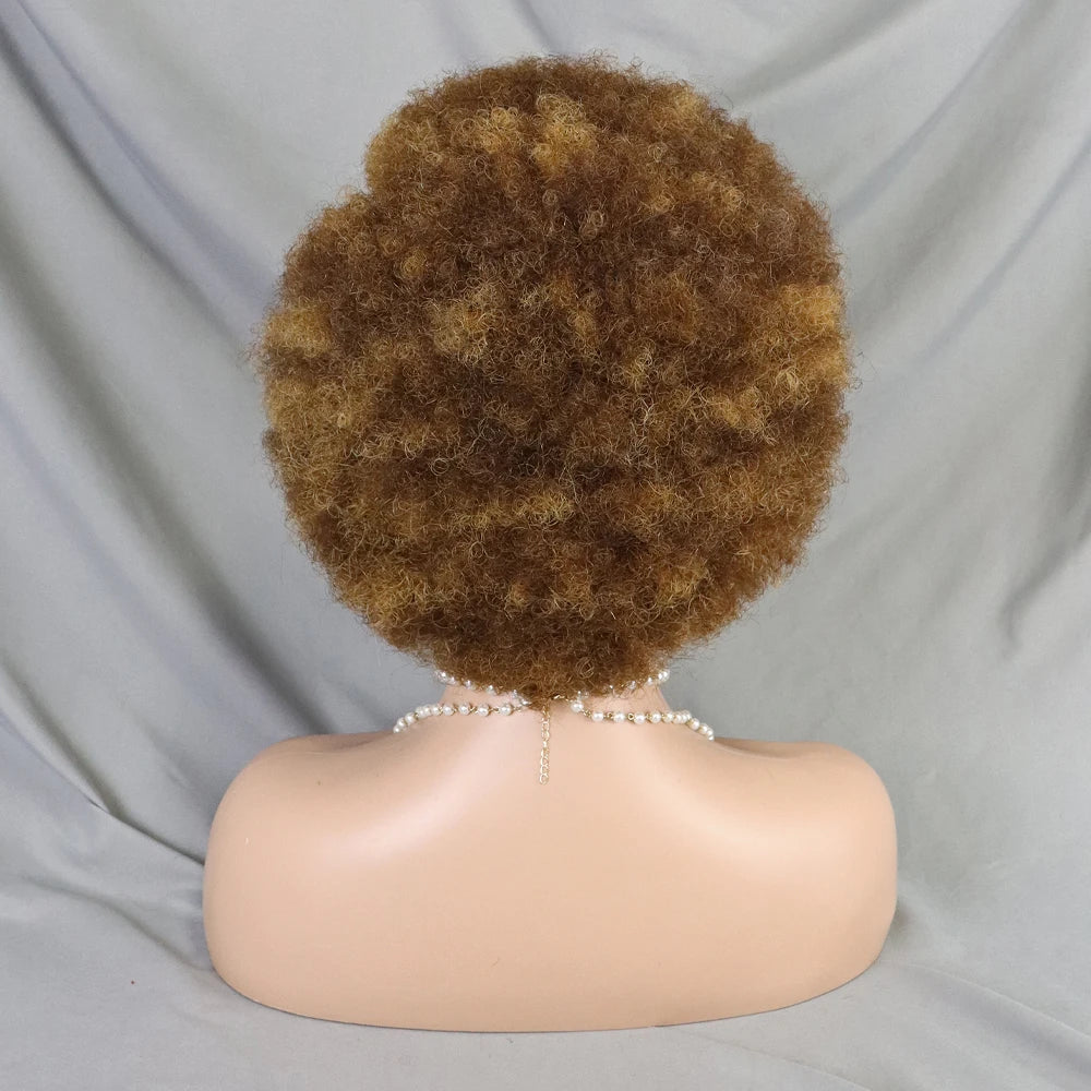Afro Kinky Curly Lace Front Human Hair Afro Side Part Natural Hairline Glue less Short Wigs