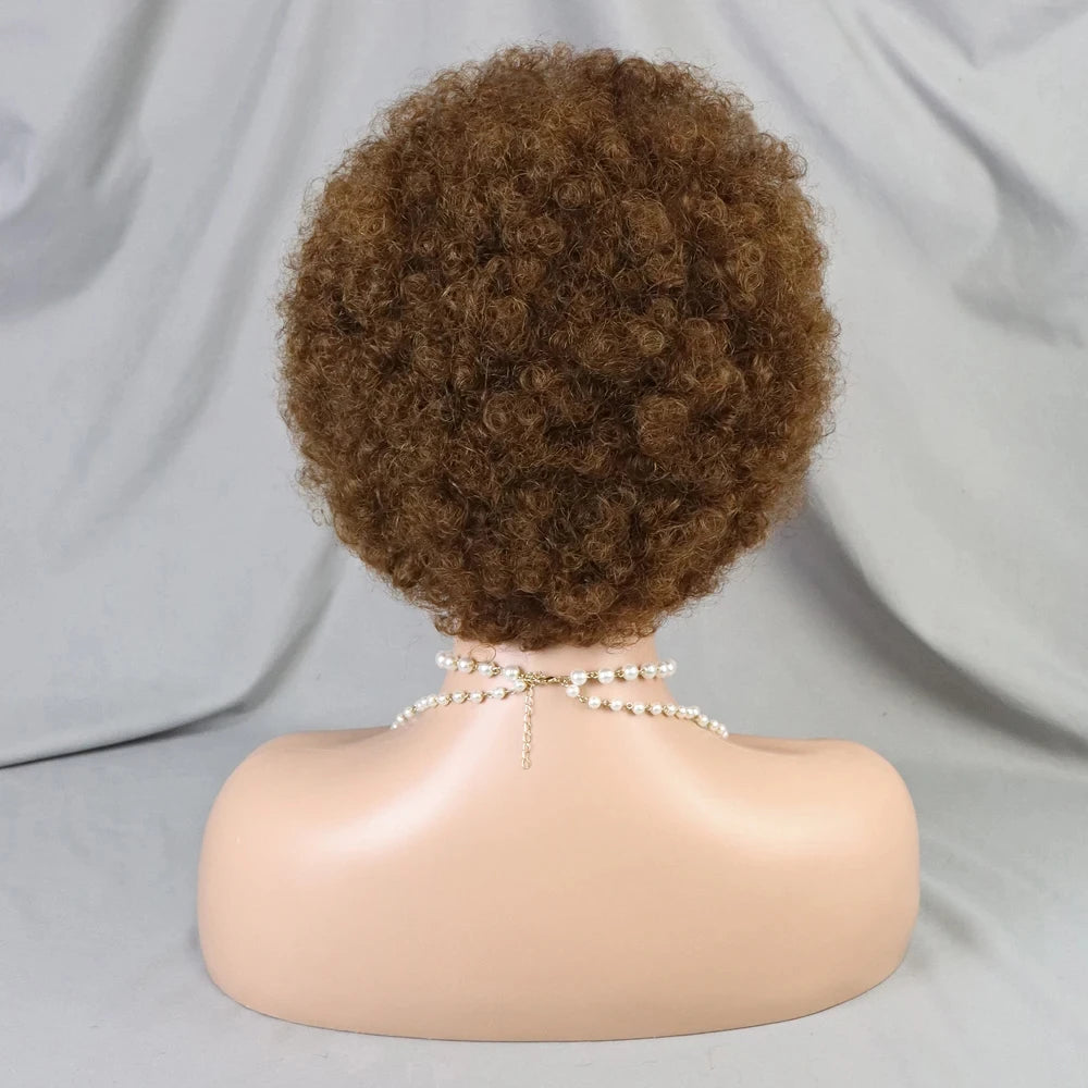 Afro Braided Hair 100% Brazilian Remy Hair 6 Inch Bouncy Curly Wig