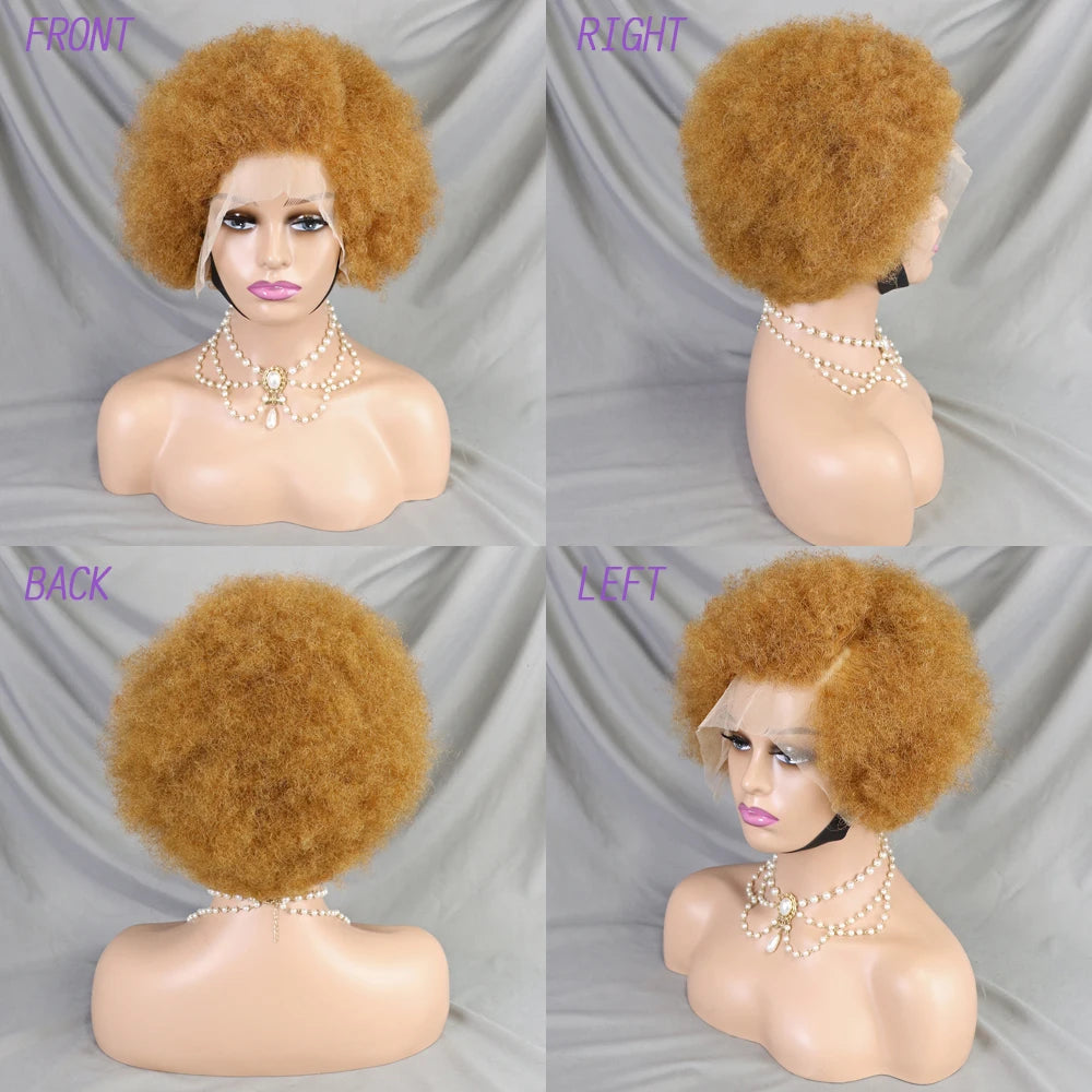 Afro Kinky Curly Lace Front Human Hair Afro Side Part Natural Hairline Glue less Short Wigs