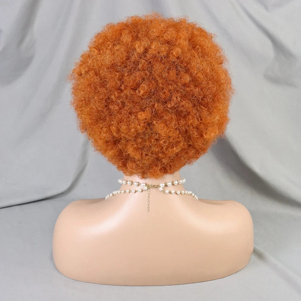Afro Braided Hair 100% Brazilian Remy Hair 6 Inch Bouncy Curly Wig