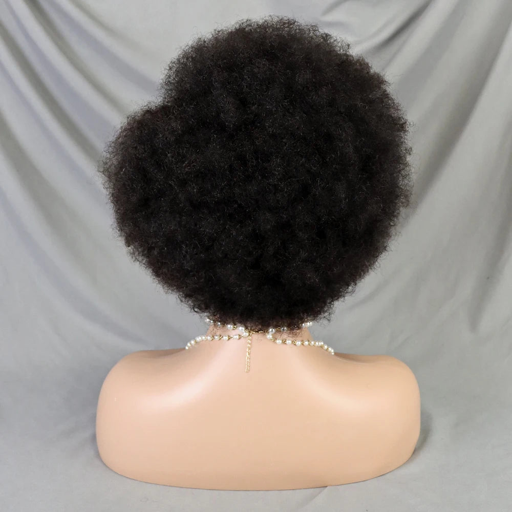 Afro Kinky Curly Lace Front Human Hair Afro Side Part Natural Hairline Glue less Short Wigs