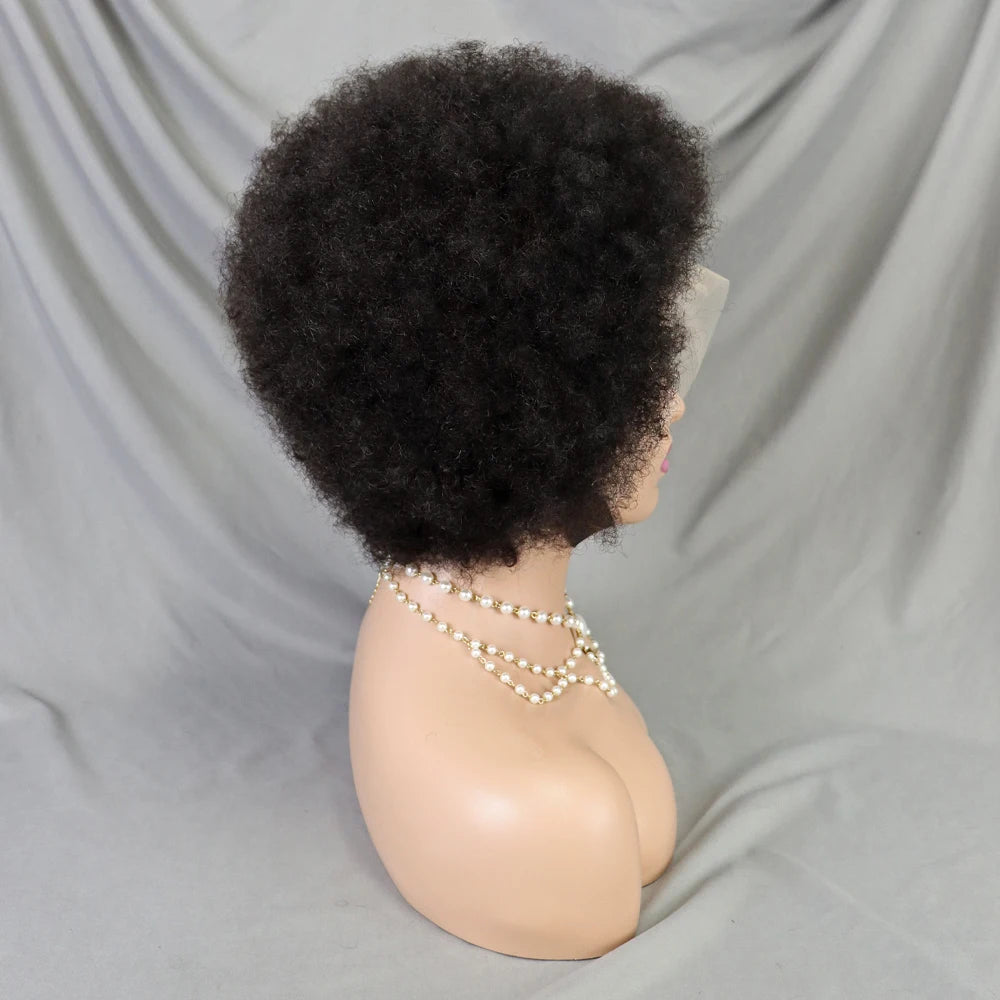 Afro Kinky Curly Lace Front Human Hair Afro Side Part Natural Hairline Glue less Short Wigs