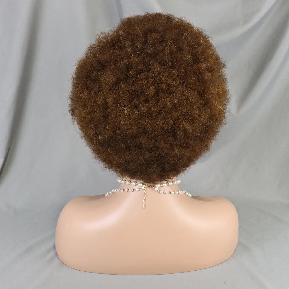 Afro Kinky Curly Lace Front Human Hair Afro Side Part Natural Hairline Glue less Short Wigs