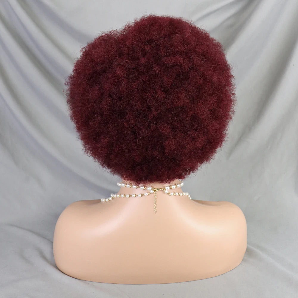 Afro Kinky Curly Lace Front Human Hair Afro Side Part Natural Hairline Glue less Short Wigs