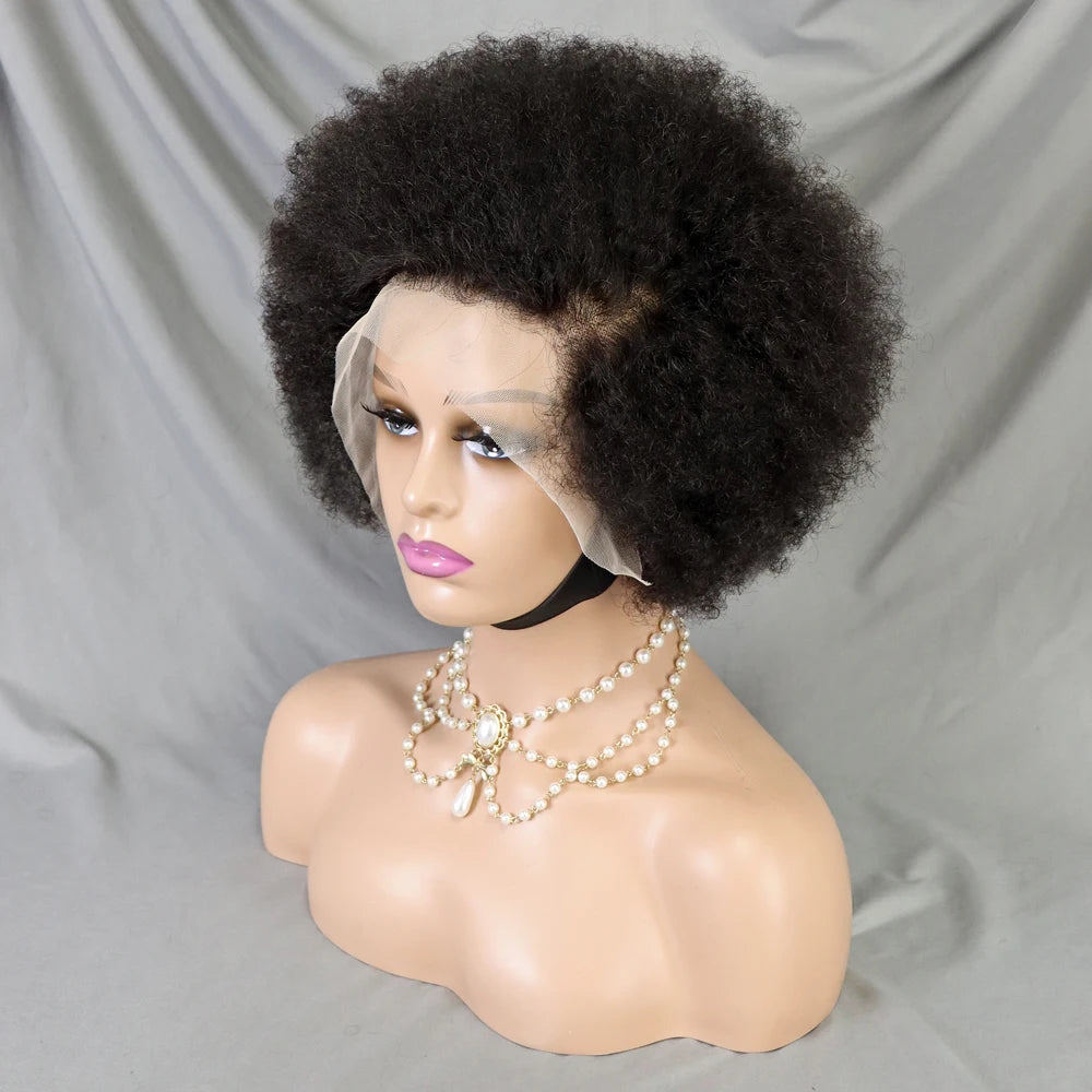 Afro Kinky Curly Lace Front Human Hair Afro Side Part Natural Hairline Glue less Short Wigs