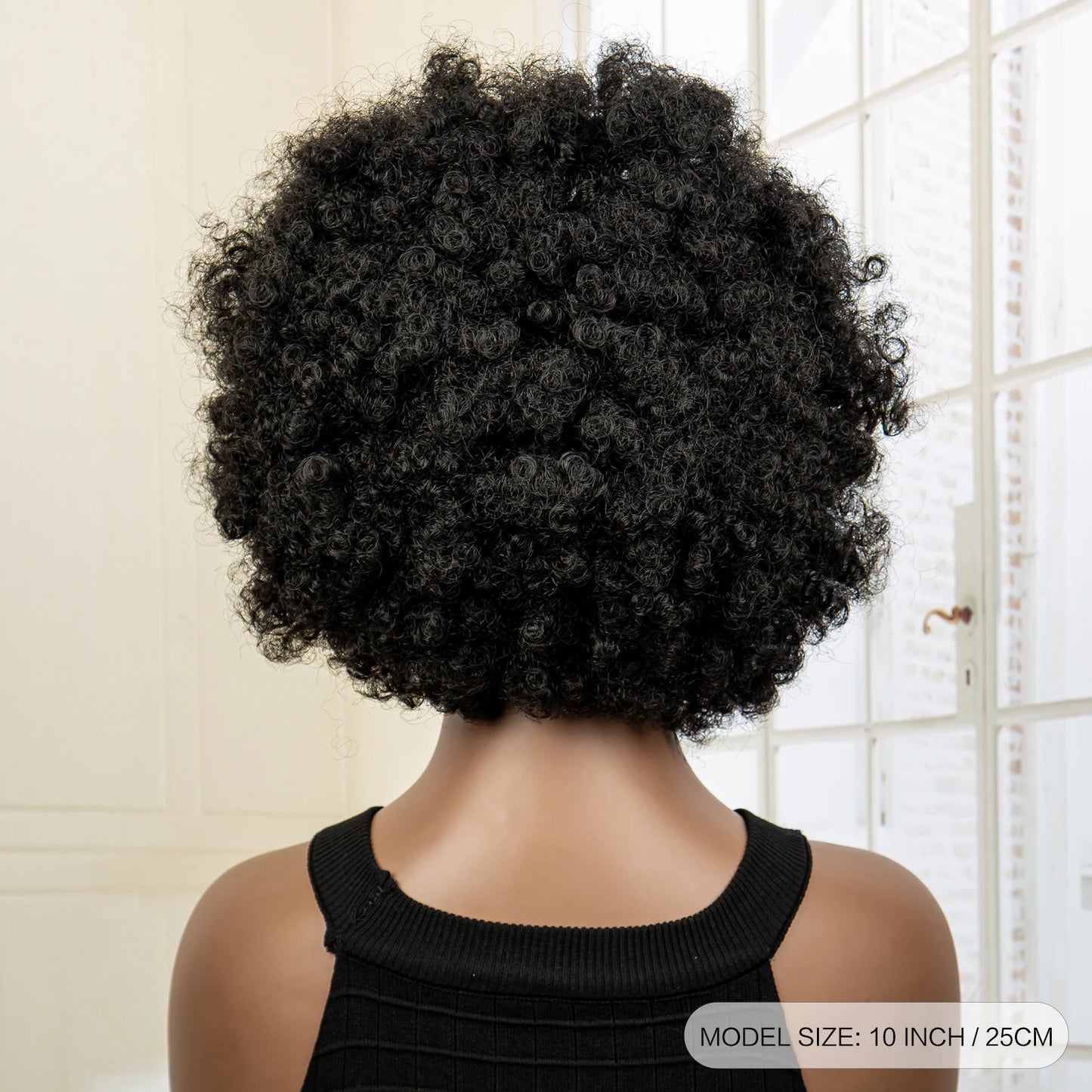 Synthetic 13x6 Lace Frontal Cornrow Braided Wig Kinky Curly Bob with Buns
